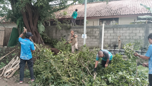Pemeliharaan Lingkungan :  Penataan Lingkungan Kampus melalui Pemangkasan Pohon yang merambat di Sekitar SLB